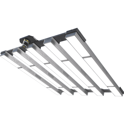 Ceiling Light